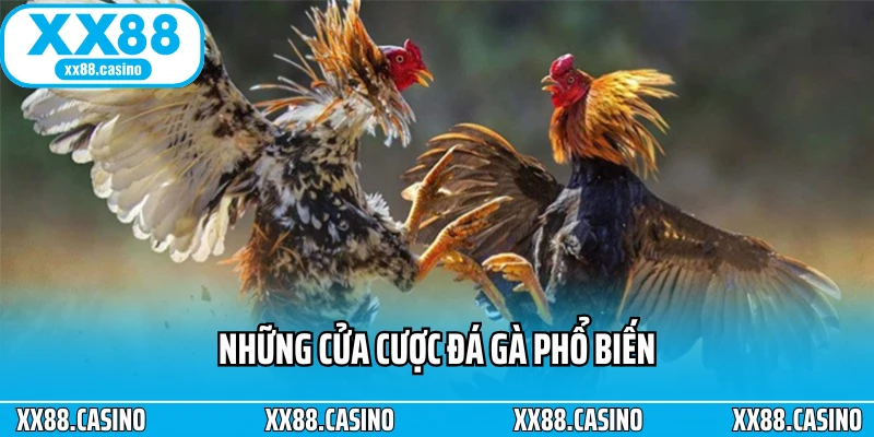 Những cửa cược đá gà phổ biến