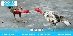 Ảnh đại diện đá gà đòn